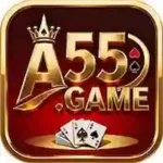 A55 Game